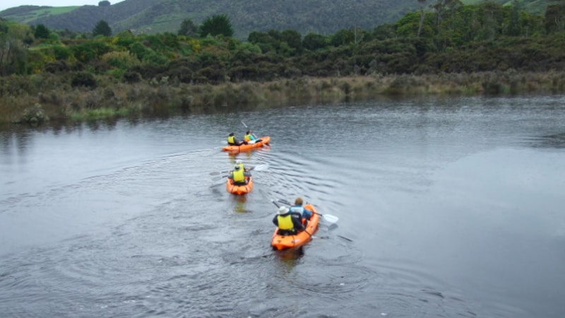 Explore a hidden gem as you hire a kayak for one or two hours and paddle through the beautiful Papatowai waters...